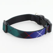 Dog Collar, Tartan Dog Collar, Galbraith Tartan